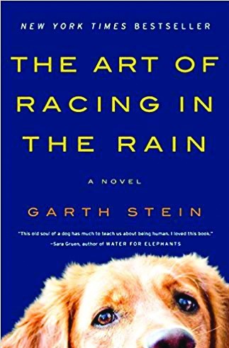 Book Review: The Art of Racing in the Rain