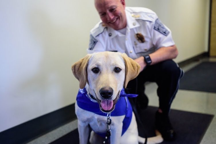 Comfort dog joining UNH PD