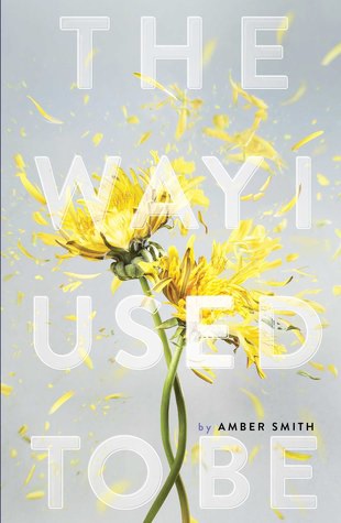 Mad About Books: ‘The Way I Used to Be’ by Amber Smith