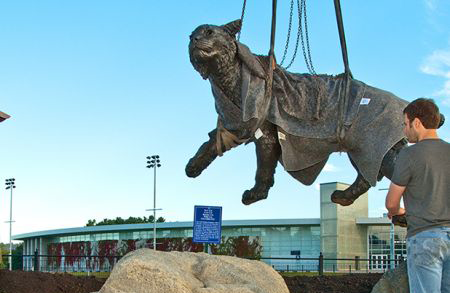 Wildcat statue celebrating its 15th anniversary