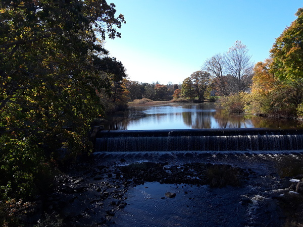 Mill Pond Dam continues to be a point of contention among Durham community