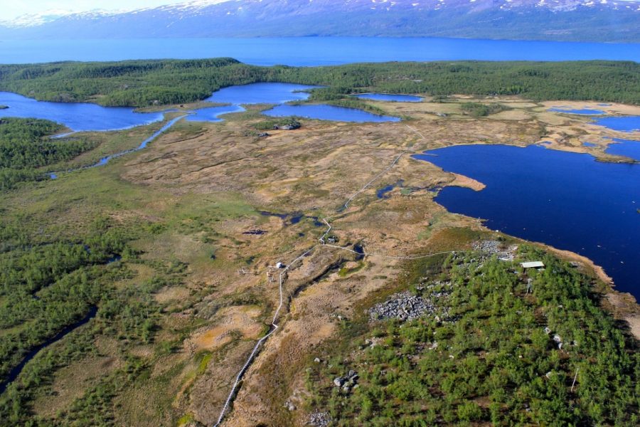 Aerial view of lakes in Stordalen Mire in the region of Abisko, Sweden, a model ecosystem for researching methane emissions.