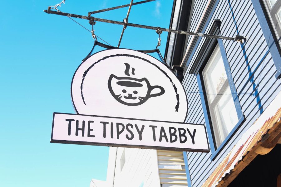 Grand Opening: The Tipsy Tabby