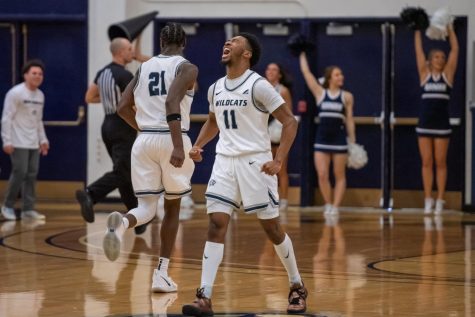 UNH Mens Basketball: The Wildcats Take Care Of Bulldogs And Book Ticket To Semi Finals