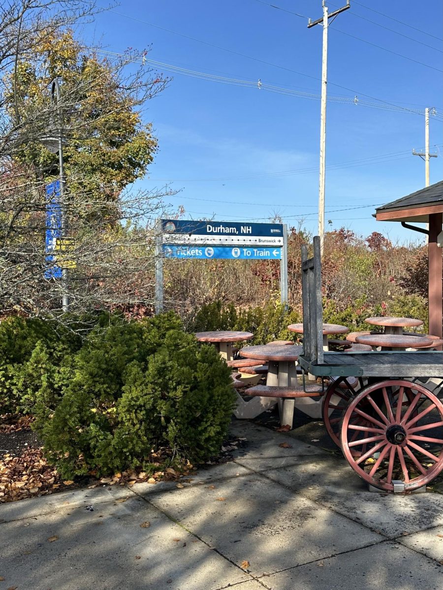 Amtrak: Where and Hows - Wildcat Word